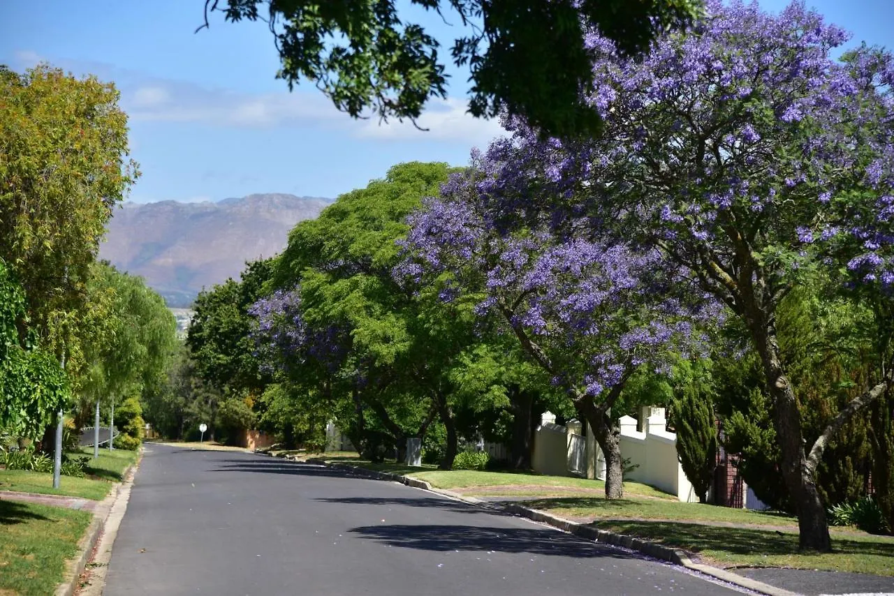 YEBO Boutique Guesthouse Somerset West